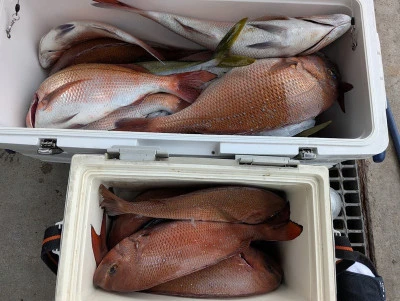 ヨシダマリンの2025年7月14日(月)1枚目の写真