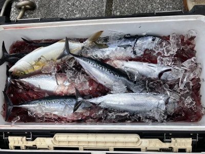 釣り筏 宇和海の2025年7月20日(日)5枚目の写真