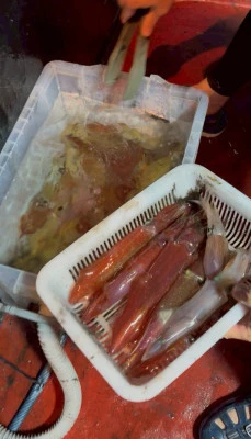 佑美丸の2025年7月21日(月)2枚目の写真