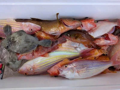 ヨシダマリンの2025年7月20日(日)1枚目の写真