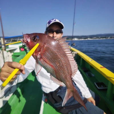 豊丸の2025年7月26日(土)3枚目の写真