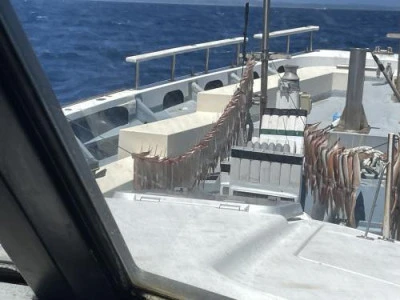 佐円丸の2025年7月26日(土)2枚目の写真