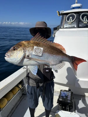 遊漁船響の2025年7月29日(火)4枚目の写真