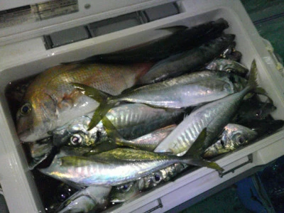 ゆたか丸の2025年7月18日(金)2枚目の写真