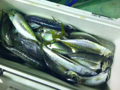 ゆたか丸の2025年7月18日(金)3枚目の写真