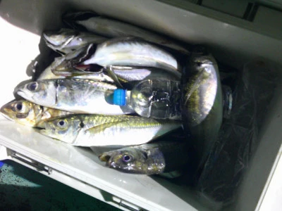 ゆたか丸の2025年7月18日(金)5枚目の写真