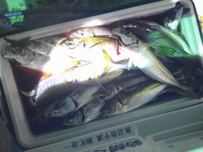 ゆたか丸の2025年7月19日(土)3枚目の写真