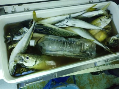 ゆたか丸の2025年7月26日(土)1枚目の写真