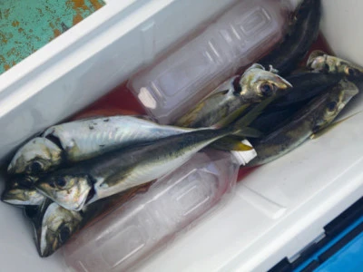 ゆたか丸の2025年7月27日(日)1枚目の写真