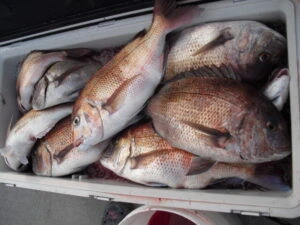 絢美丸の2025年7月16日(水)1枚目の写真