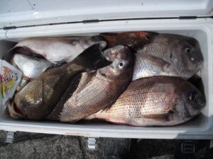 絢美丸の2025年7月17日(木)2枚目の写真