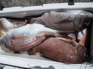 絢美丸の2025年7月22日(火)3枚目の写真