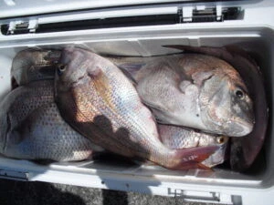 絢美丸の2025年7月22日(火)4枚目の写真