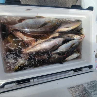 海晴丸の2025年7月20日(日)5枚目の写真