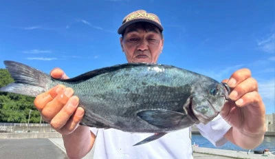 瀬渡し 磯の2025年7月20日(日)5枚目の写真