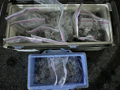 安延遊漁　建鳳丸の2025年8月1日(金)2枚目の写真