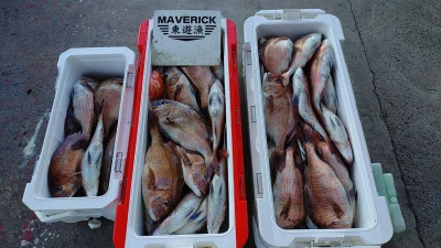 ヨシダマリンの2025年7月25日(金)1枚目の写真