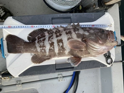 ヨシダマリンの2025年7月26日(土)1枚目の写真