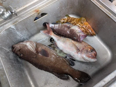 ヨシダマリンの2025年7月26日(土)2枚目の写真