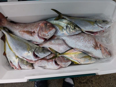 ヨシダマリンの2025年7月26日(土)3枚目の写真