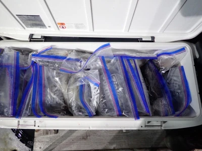 安延遊漁　建鳳丸の2025年8月2日(土)1枚目の写真