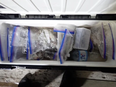 安延遊漁　建鳳丸の2025年8月2日(土)2枚目の写真