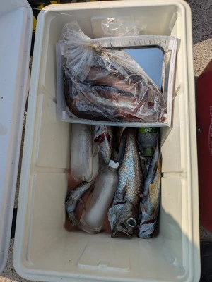 渡辺丸の2025年8月4日(月)1枚目の写真