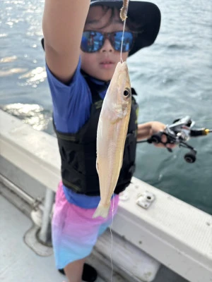 遊漁船響の2025年8月4日(月)2枚目の写真