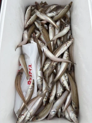 遊漁船響の2025年8月4日(月)3枚目の写真