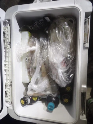 安延遊漁　建鳳丸の2025年8月5日(火)4枚目の写真