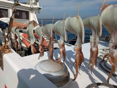 渡辺丸の2025年8月8日(金)3枚目の写真