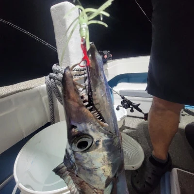 海晴丸の2025年8月1日(金)3枚目の写真