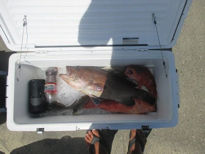 隆星丸の2025年7月10日(木)2枚目の写真