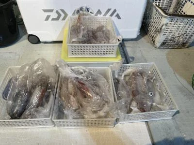 Fishing MOLA MOLAの2025年8月8日(金)5枚目の写真