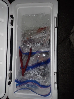 安延遊漁　建鳳丸の2025年8月9日(土)3枚目の写真