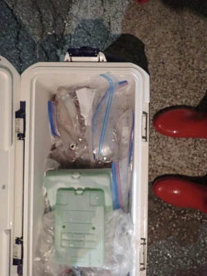 安延遊漁　建鳳丸の2025年8月9日(土)4枚目の写真