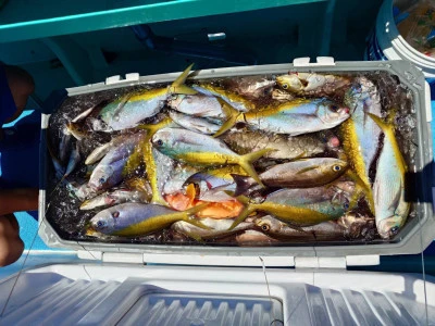 重郎平丸の2025年8月9日(土)2枚目の写真