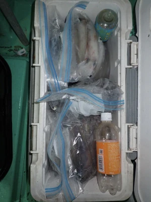 安延遊漁　建鳳丸の2025年8月12日(火)3枚目の写真