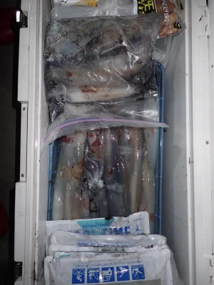 安延遊漁　建鳳丸の2025年8月12日(火)4枚目の写真