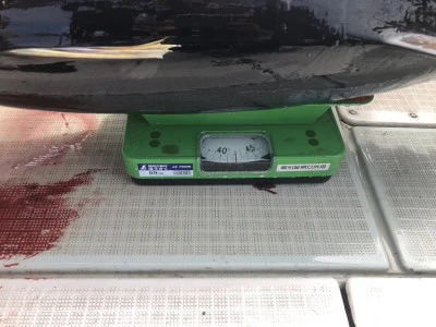 ARCADIA SALTWATER SERVICEの2025年8月13日(水)2枚目の写真