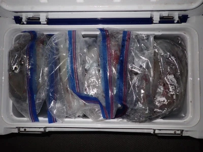 安延遊漁　建鳳丸の2025年8月13日(水)2枚目の写真