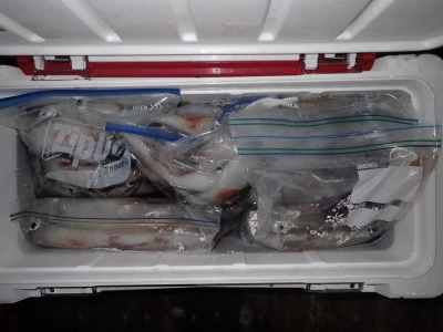 安延遊漁　建鳳丸の2025年8月13日(水)3枚目の写真