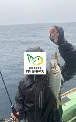 昭和丸の2025年8月12日(火)2枚目の写真