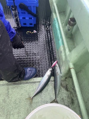 昭和丸の2025年8月12日(火)3枚目の写真