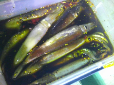 ゆたか丸の2025年8月2日(土)1枚目の写真