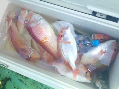 ゆたか丸の2025年8月3日(日)4枚目の写真