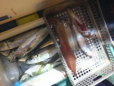 ゆたか丸の2025年8月3日(日)5枚目の写真