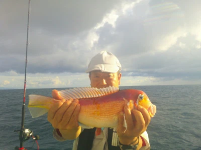 ゆたか丸の2025年8月9日(土)1枚目の写真