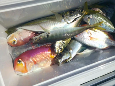 ゆたか丸の2025年8月9日(土)4枚目の写真