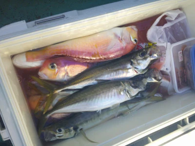 ゆたか丸の2025年8月9日(土)5枚目の写真